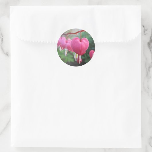 Hartbloeding (Dicentra) Ronde Sticker (Tas)