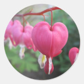 Hartbloeding (Dicentra) Ronde Sticker (Voorkant)