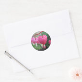 Hartbloeding (Dicentra) Ronde Sticker (Envelop)