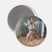 Hartbreekster Magnet (Voorkant / Achterkant)