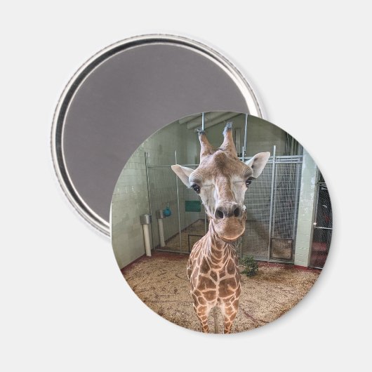 Hartbreekster Magnet (Voorkant / Achterkant)