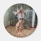 Hartbreekster Magnet (Voorkant)