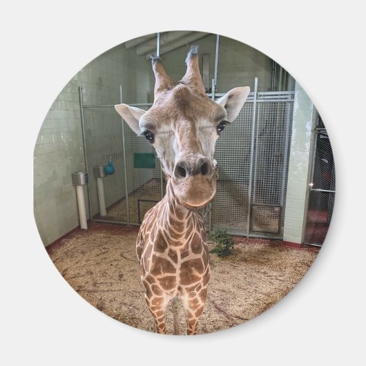 Hartbreekster Magnet (Voorkant)