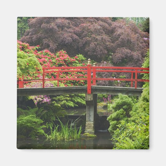 Hartbrug met bloeiende rododendrons, magneet (Voorkant)