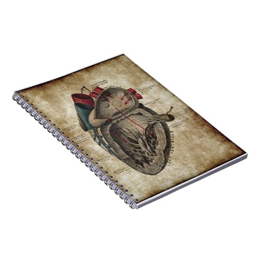  hartdiagram notebook notitieboek (Rechterzijde)