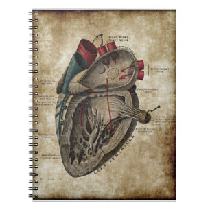 hartdiagram notebook notitieboek