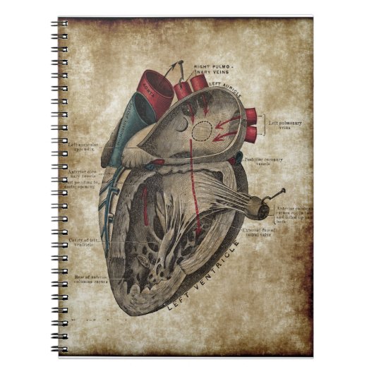  hartdiagram notebook notitieboek (Voorkant)
