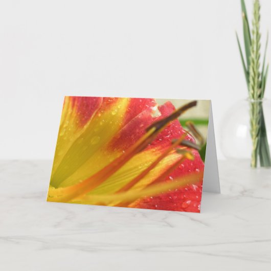 Hartelijk Bedankt (Voorkant)