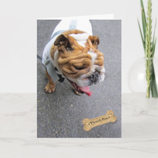 Hartelijk Bedankt (Voorkant)