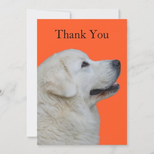 Hartelijk bedankt voor de Poolse Tatra Dog (Voorkant)