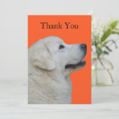 Hartelijk bedankt voor de Poolse Tatra Dog (Staand voorkant)