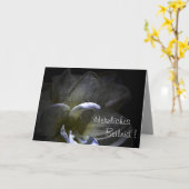 Hartelijk condoleance ! Amaryllis bloem ... Kaart (Gele Bloem)