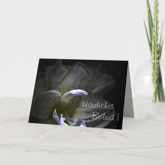Hartelijk condoleance ! Amaryllis bloem ... Kaart (Voorkant)