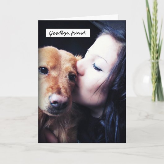 Hartelijk dank aan de dierenarts voor de regenboog bedankkaart (Voorkant)