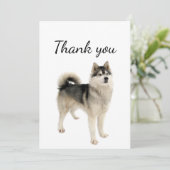 Hartelijk dank, Amerikaans Eskimo Malamute Dog Pet Bedankkaart (Staand voorkant)