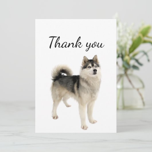 Hartelijk dank, Amerikaans Eskimo Malamute Dog Pet Bedankkaart (Staand voorkant)