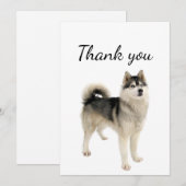 Hartelijk dank, Amerikaans Eskimo Malamute Dog Pet Bedankkaart (Voorkant / Achterkant)