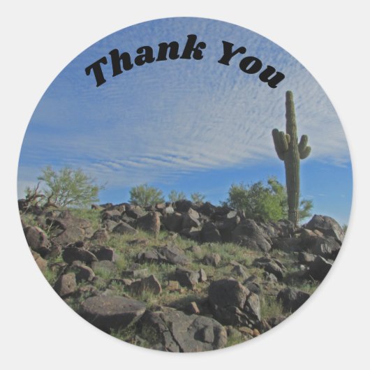 Hartelijk dank, Arizona Tall Saguaro Desert Cactus Ronde Sticker (Voorkant)