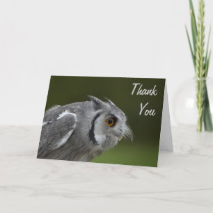 Hartelijk dank - Baby Grey Owl Bedankkaart