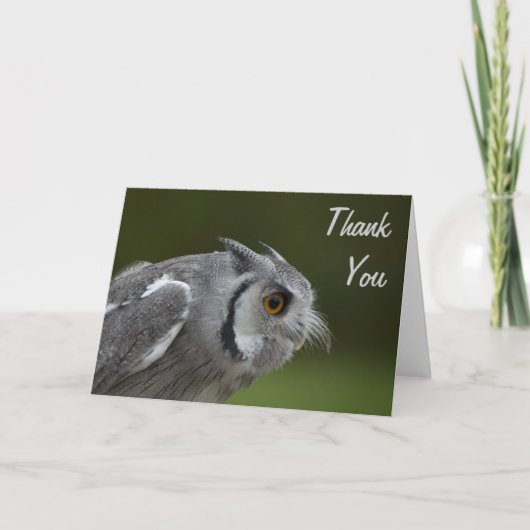 Hartelijk dank - Baby Grey Owl Bedankkaart (Voorkant)