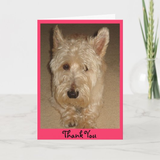 Hartelijk dank bedankkaart (Voorkant)