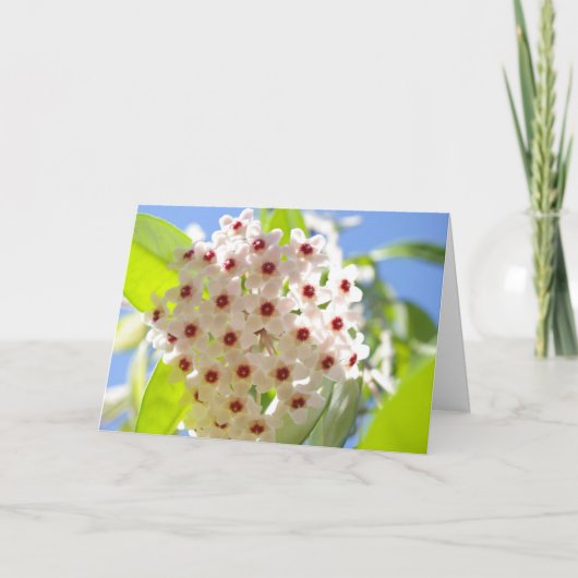 Hartelijk dank bedankkaart (Voorkant)