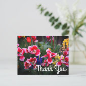 Hartelijk dank, Briefkaart rode en witte tulpen (Staand voorkant)