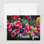 Hartelijk dank, Briefkaart rode en witte tulpen (Voorkant / Achterkant)