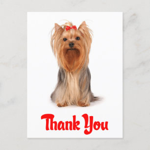 Hartelijk dank, Briefkaart Yorkshire Terrier Puppy