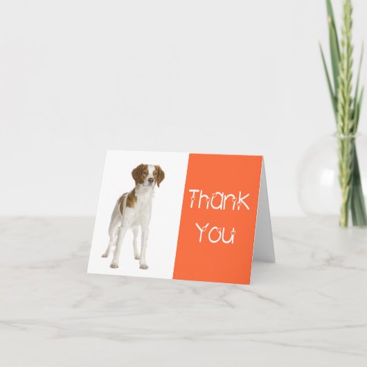 Hartelijk dank, Brittany Spaniel Puppy Dog Card Bedankkaart (Voorkant)