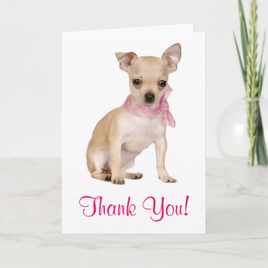Hartelijk dank, Chihuahua Puppy Dog Wenskaart Bedankkaart (Voorkant)