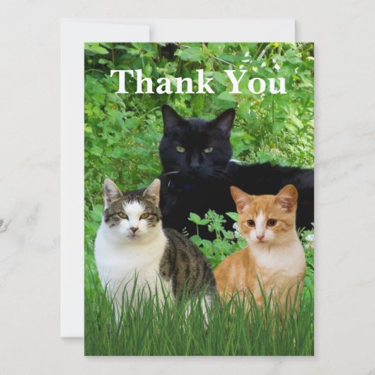 Hartelijk dank Dierarts met Wenskaart (Voorkant)