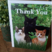 Hartelijk dank Dierarts met Wenskaart