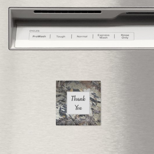 Hartelijk dank, driftwood Pattern Foto Beach Natuu Magneet (Insitu (Vaatwasser))