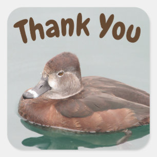Hartelijk dank, Duck Photo Vrouw Bird Vierkante Sticker