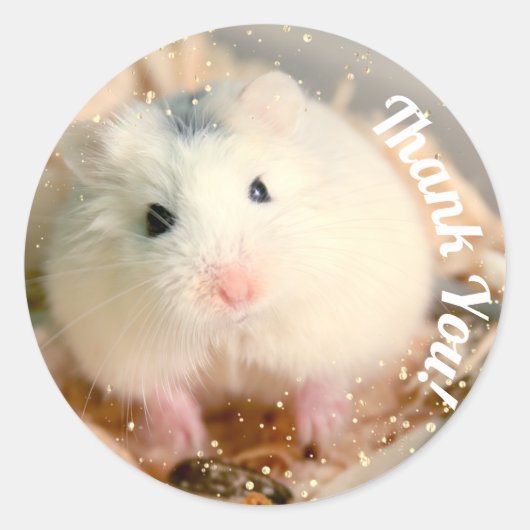 Hartelijk dank - Hammyville White Hamster Ronde Sticker (Voorkant)