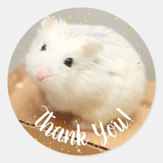Hartelijk dank - Hammyville White Hamster Square S Ronde Sticker (Voorkant)