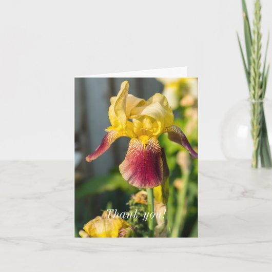Hartelijk dank - Heirloom Iris Bedankkaart (Voorkant)