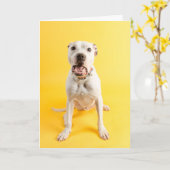 Hartelijk dank kaart (Gele Bloem)