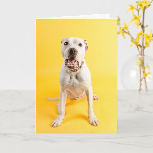 Hartelijk dank kaart (Gele Bloem)