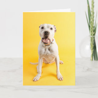 Hartelijk dank kaart