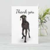 Hartelijk dank, mevrouw Dane Dog Pet Animal Bedankkaart (Staand voorkant)