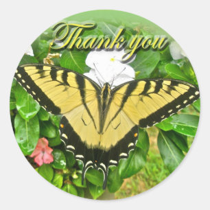 Hartelijk dank, mevrouw Male Tiger Swallowtail But Ronde Sticker