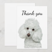 Hartelijk dank, mevrouw White Podle Dog Pet Animal Bedankkaart (Voorkant / Achterkant)