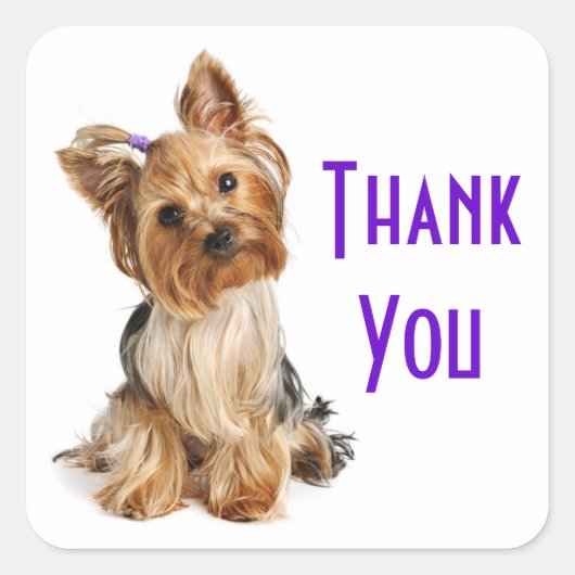 Hartelijk dank, mevrouw Yorkshire Terrier Puppy Do Vierkante Sticker (Voorkant)
