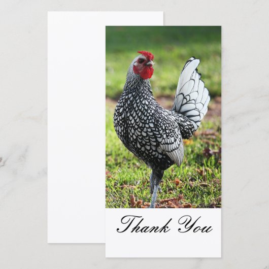 Hartelijk dank, Rooster-fotokaart Bedankkaart (Voorkant / Achterkant)