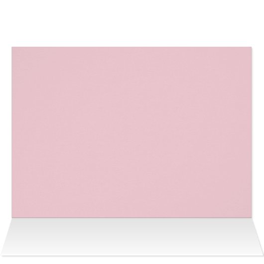 Hartelijk dank, roze chrysanthemum macrofotonotiti (Binnen Horizontaal (Boven))