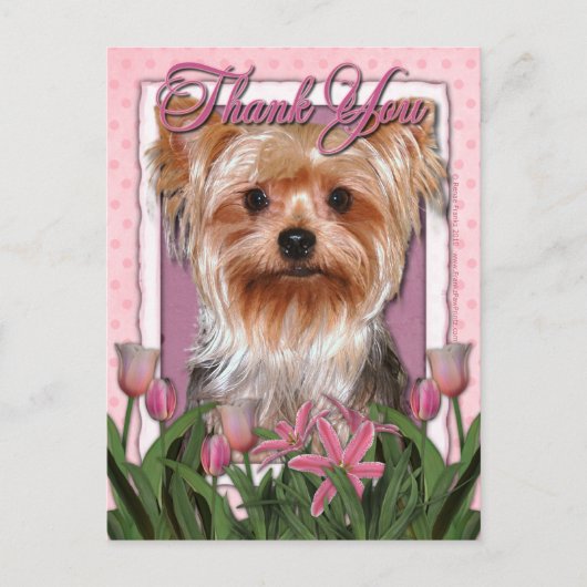 Hartelijk dank - Roze Tulips - Yorkshire Terrier Briefkaart (Voorkant)