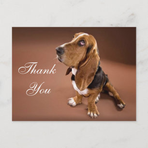 Hartelijk dank voor Basset Hound Greeting Post Car Briefkaart