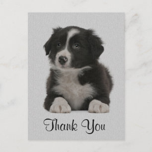 Hartelijk dank voor Collie Puppy Dog Post Card Briefkaart